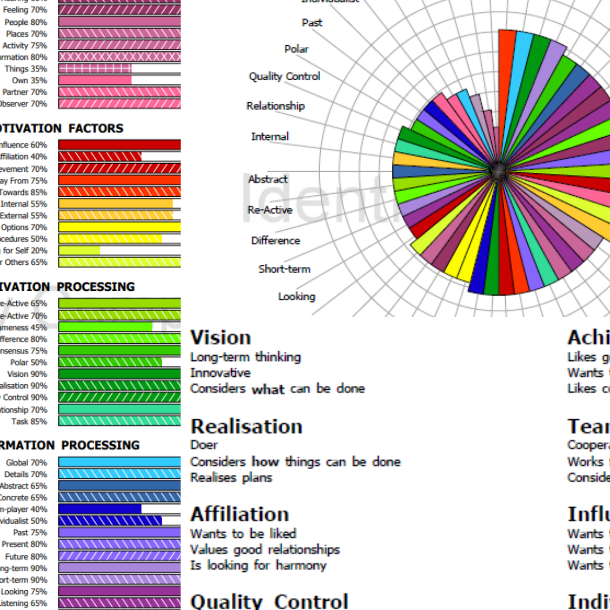 Identity Compass profile
